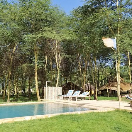 Africa Safari Camping 음토와음부 외부 사진