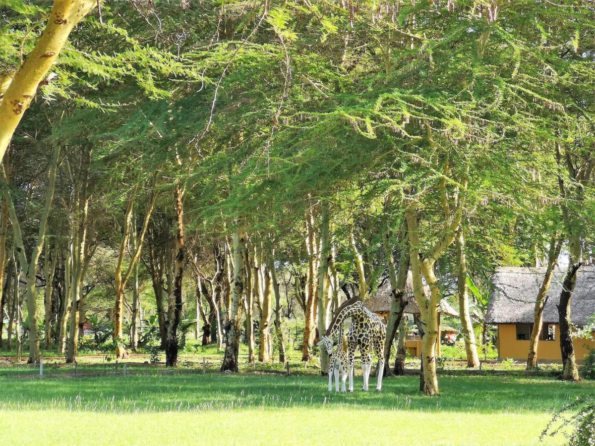 Africa Safari Camping 음토와음부 외부 사진